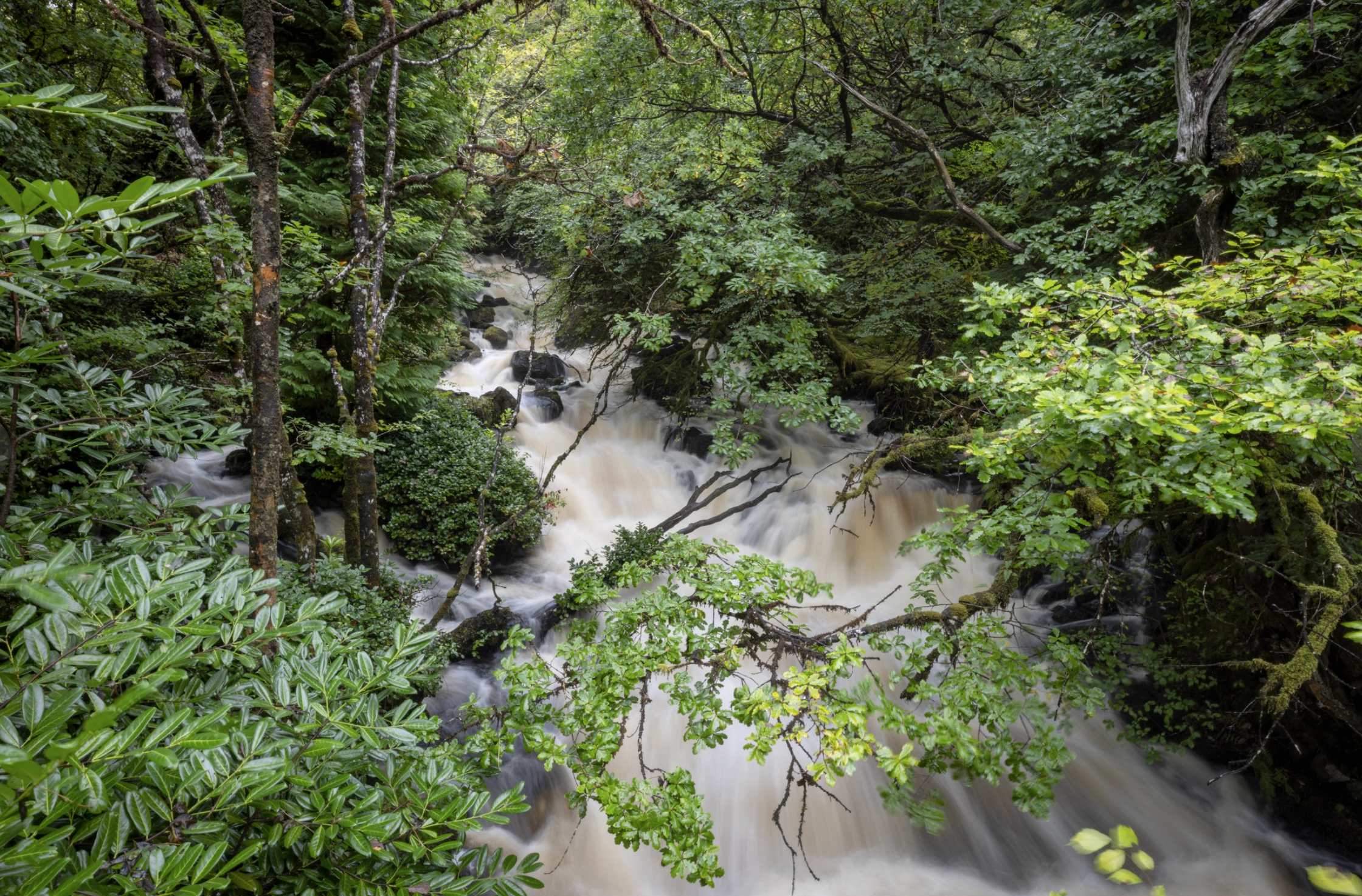 Nature et environnement en Écosse