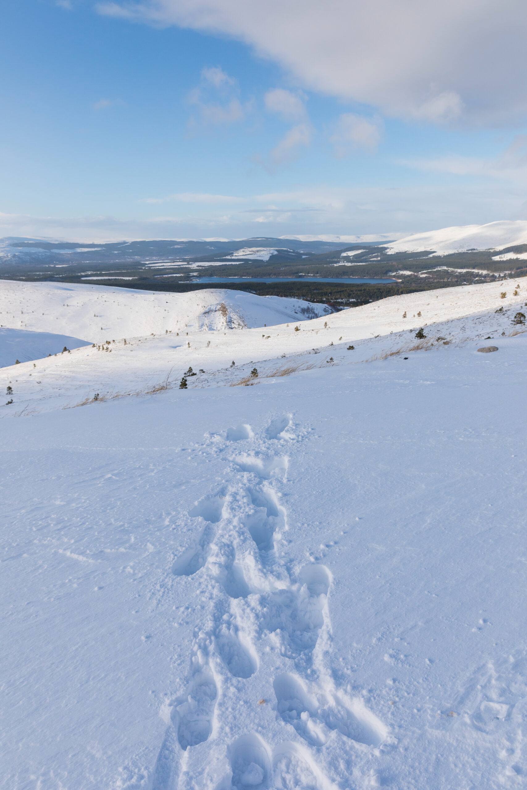Ecosse Cairngorms neige