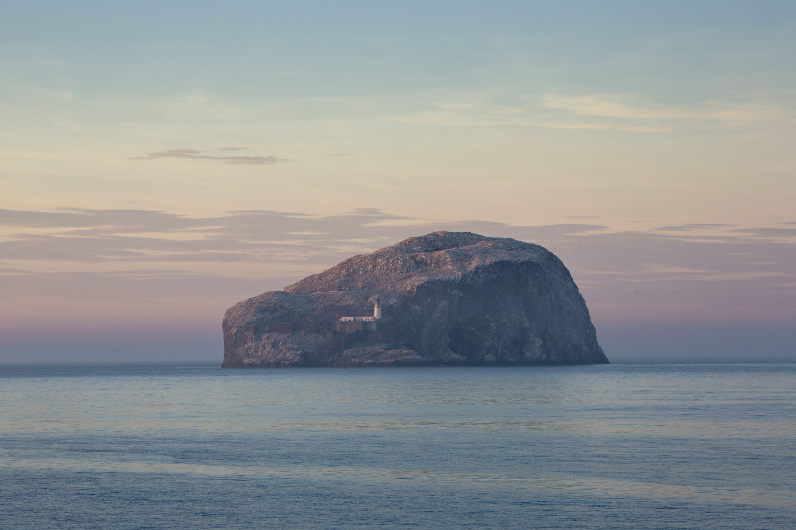 Bass Rock en Écosse