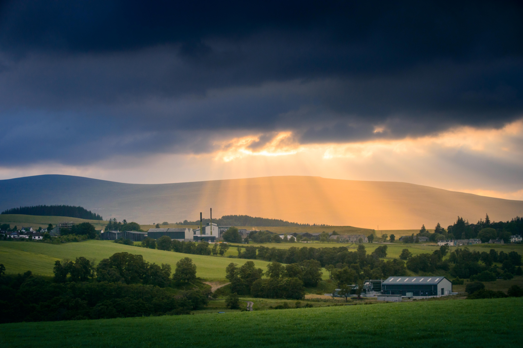 Whisky en Ecosse