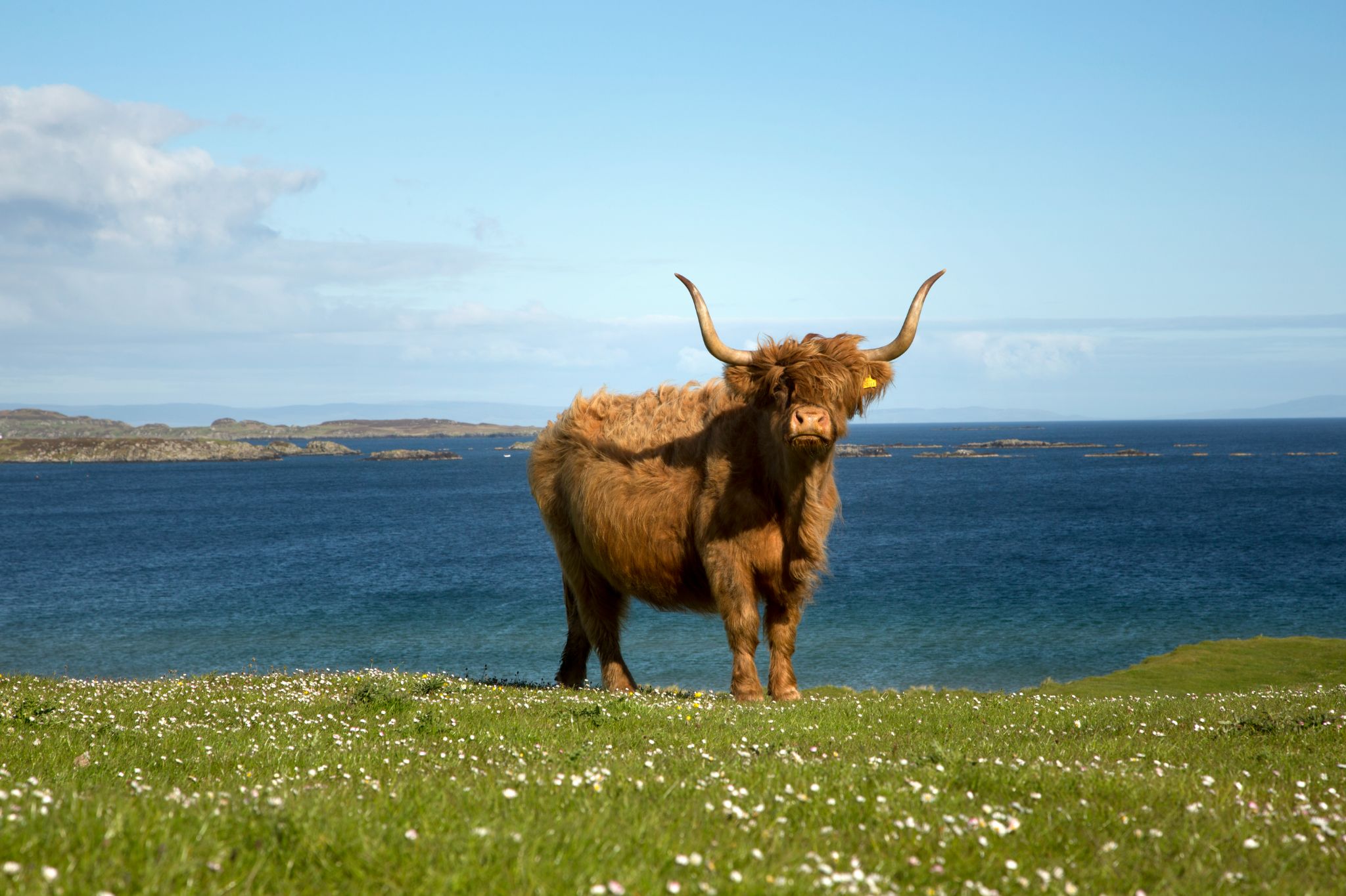 Islay en Écosse